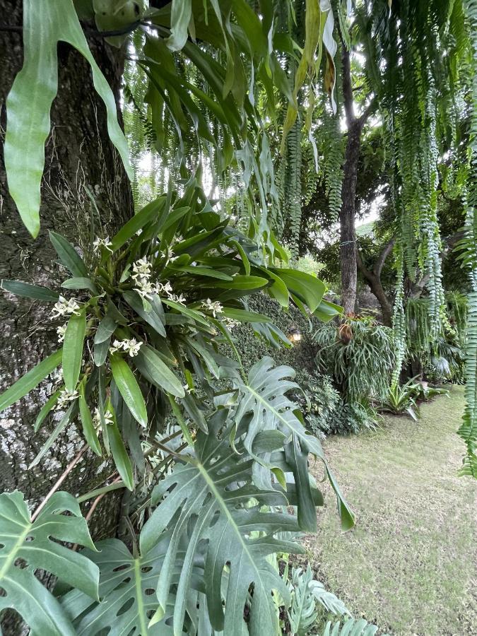 Iguanazu Bed & Breakfast Guayaquil Exterior foto
